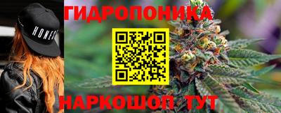 МДПВ Обнинск