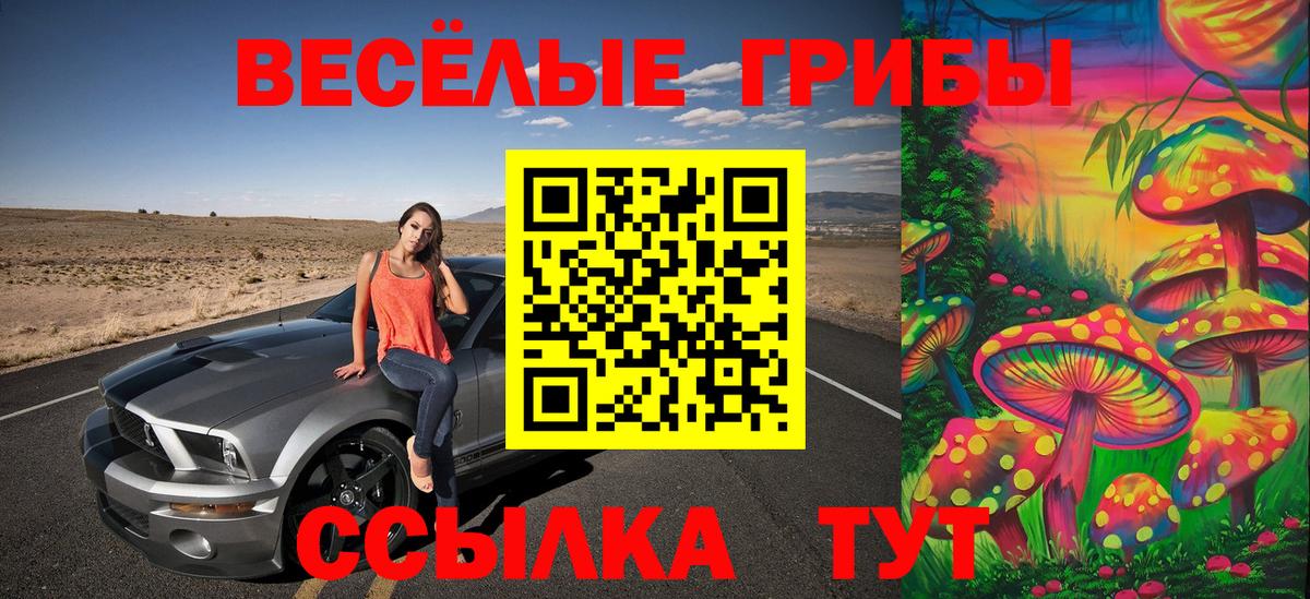 Десногорск  Псилоцибиновые грибы мухоморы  Вход с VPN 